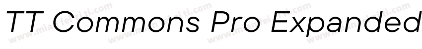 TT Commons Pro Expanded ExtraBold字体转换